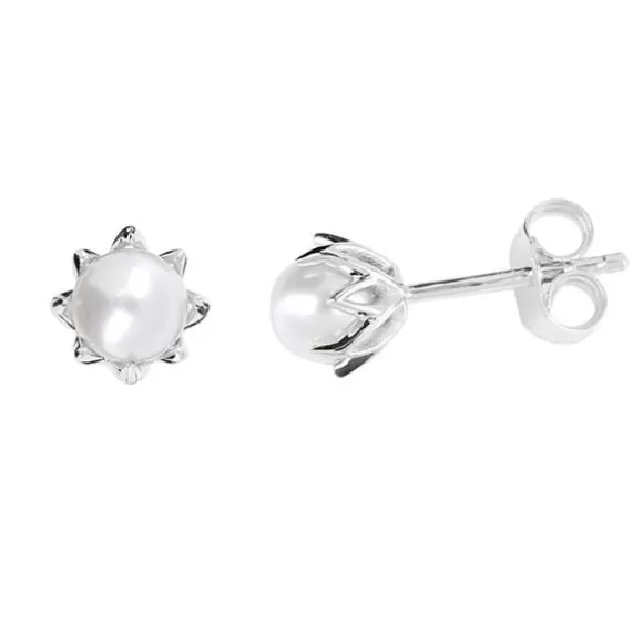 Kohinoor Rosa Kultakorvakorut 133-260V-5* Helmikorut | Kultakorvakorut
